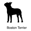"Clip-Art 2: Boston Terrier"