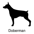 "Clip-Art 2: Doberman"