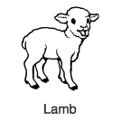 "Clip-Art 2: Lamb"