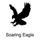 "Clip-Art 2: Soaring Eagle"