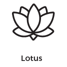 TadBlu Clip-Art: Lotus