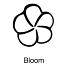 Clip-Art 1: Bloom