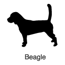 Clip-Art 2: Beagle