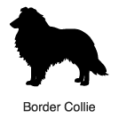 Clip-Art 2: Border Collie