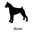 Clip-Art 2: Boxer