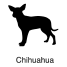 Clip-Art 2: Chihuahua