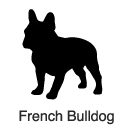 Clip-Art 2: French Bulldog