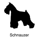 Clip-Art 2: Schnauzer