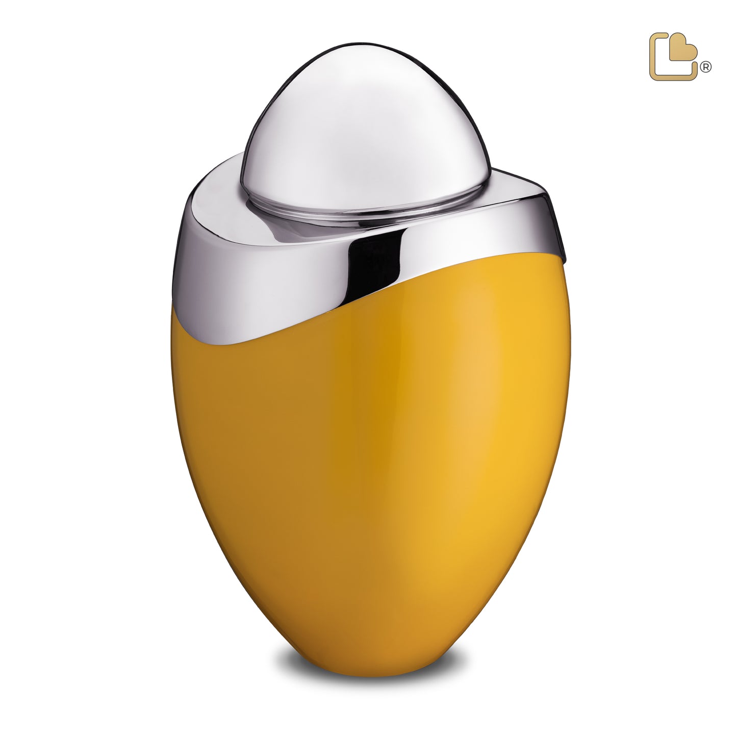 Amore™ Yellow & Polished Silver (Adult) - A360*