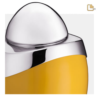 Amore™ Yellow & Polished Silver (Adult) - A360*