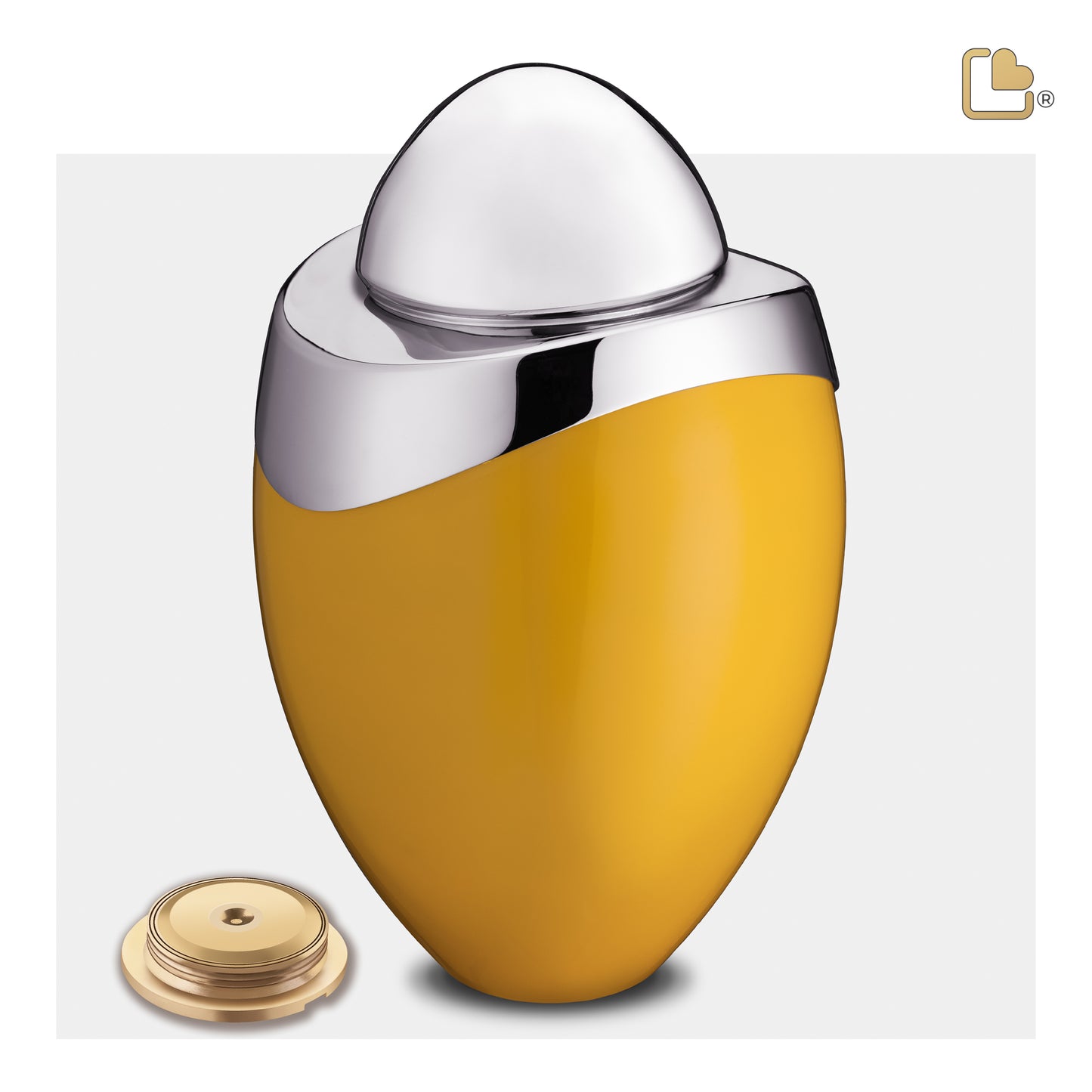 Amore™ Yellow & Polished Silver (Adult) - A360*