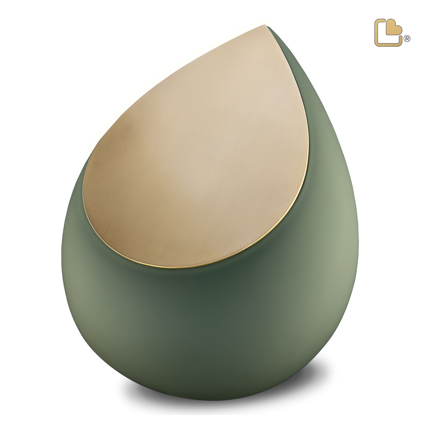 Drop™ Sage Green & Brushed Gold (Adult) - A585*