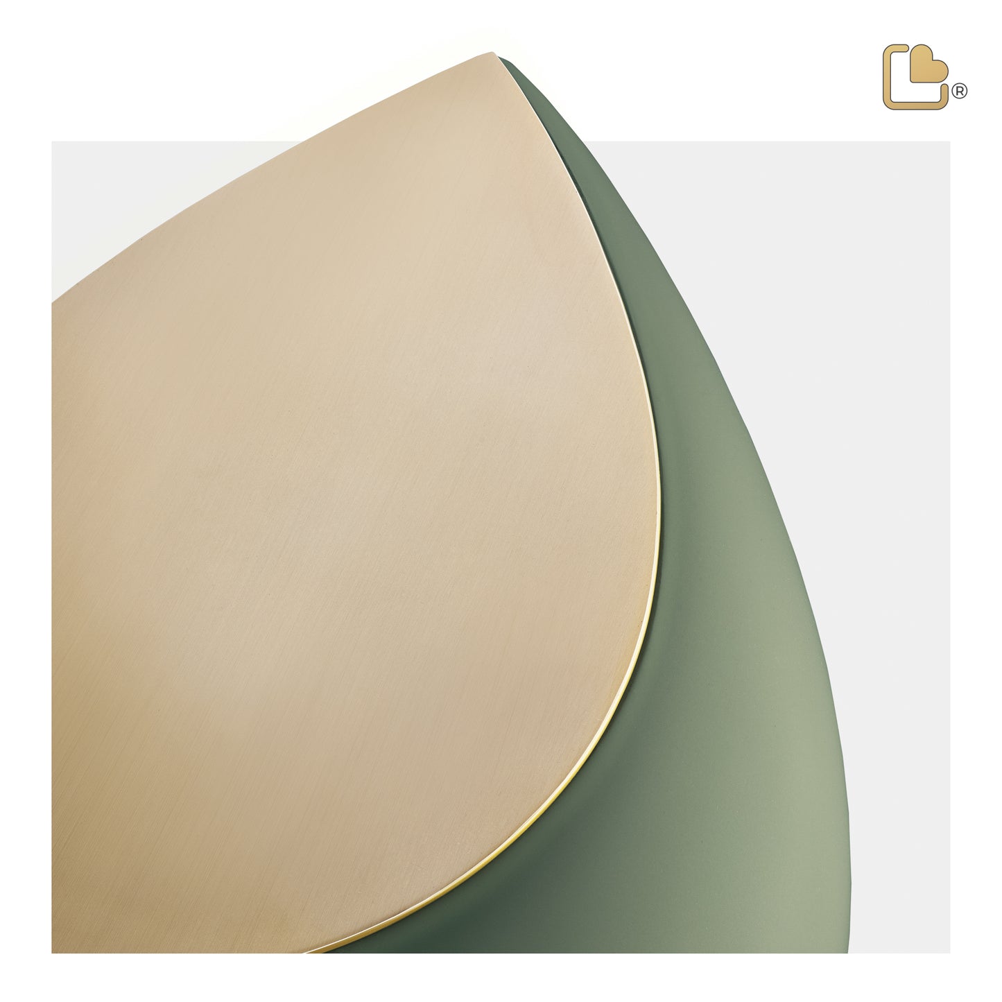 Drop™ Sage Green & Brushed Gold (Adult) - A585*