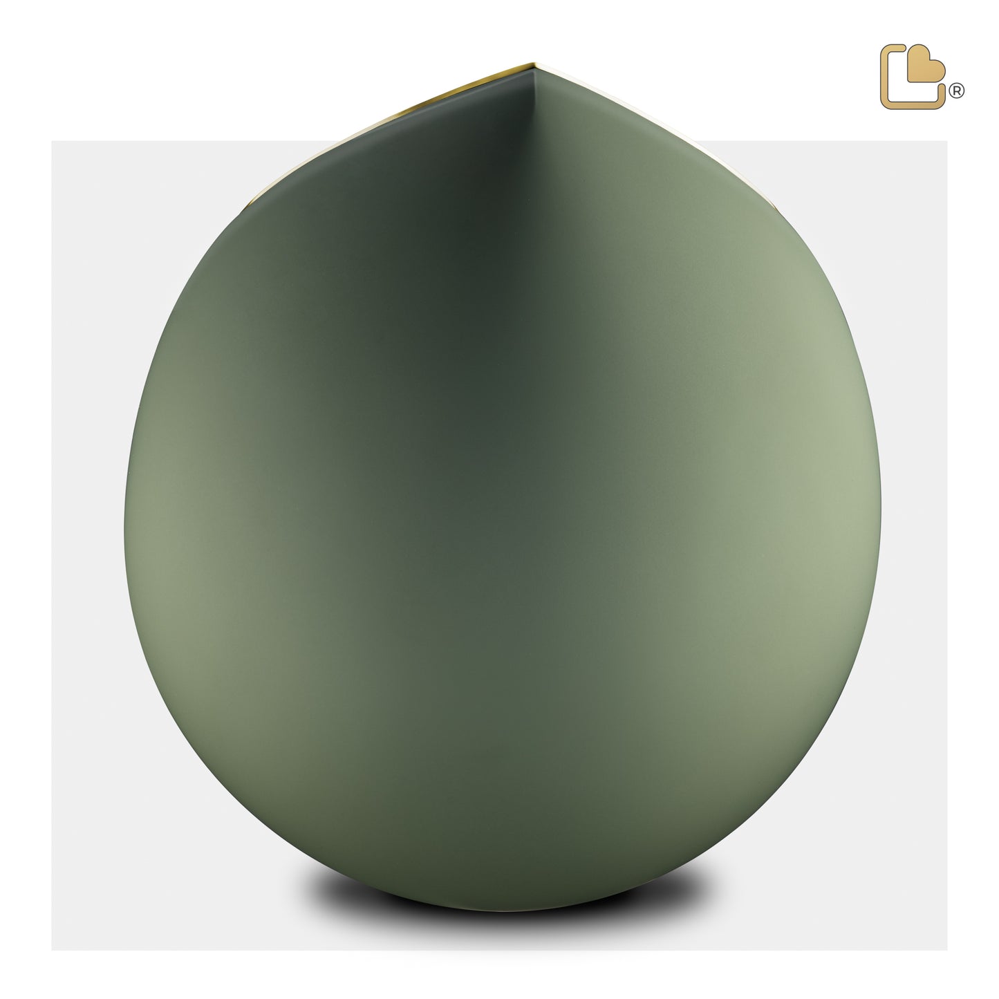 Drop™ Sage Green & Brushed Gold (Adult) - A585*