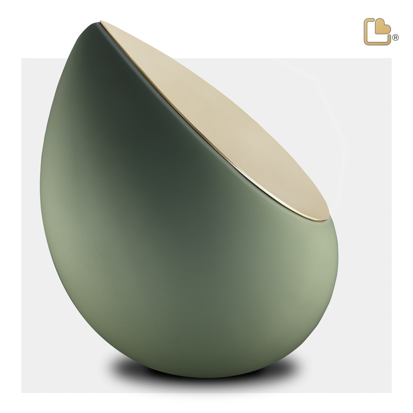 Drop™ Sage Green & Brushed Gold (Adult) - A585*