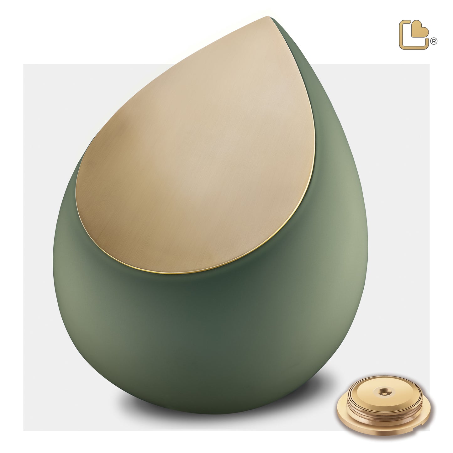 Drop™ Sage Green & Brushed Gold (Adult) - A585*