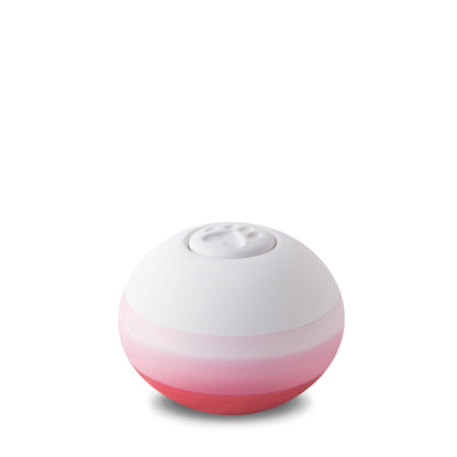 Scarlet Pet Urn Eco Pigment (Small) - BP151S*