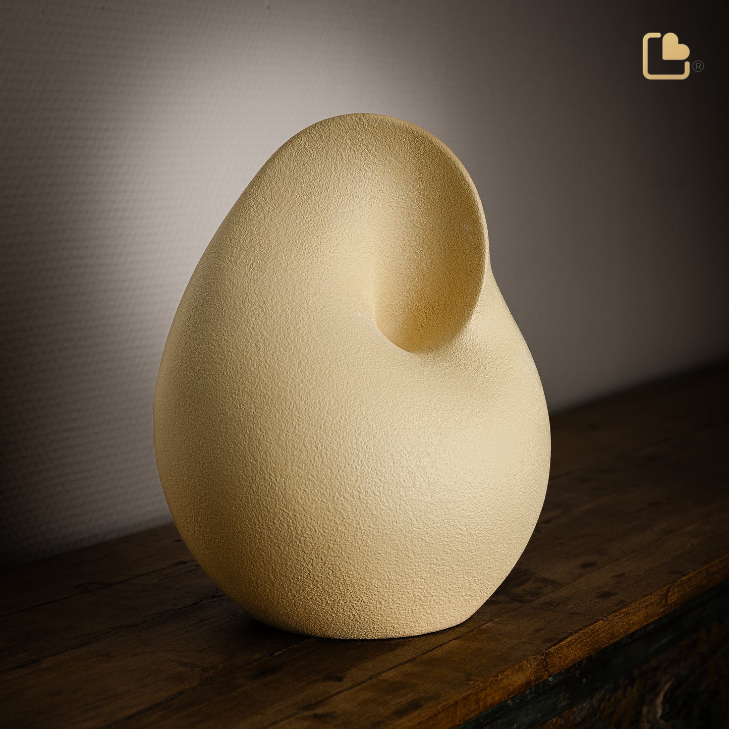 Soulful Shell Yellow (Adult) - CA161*