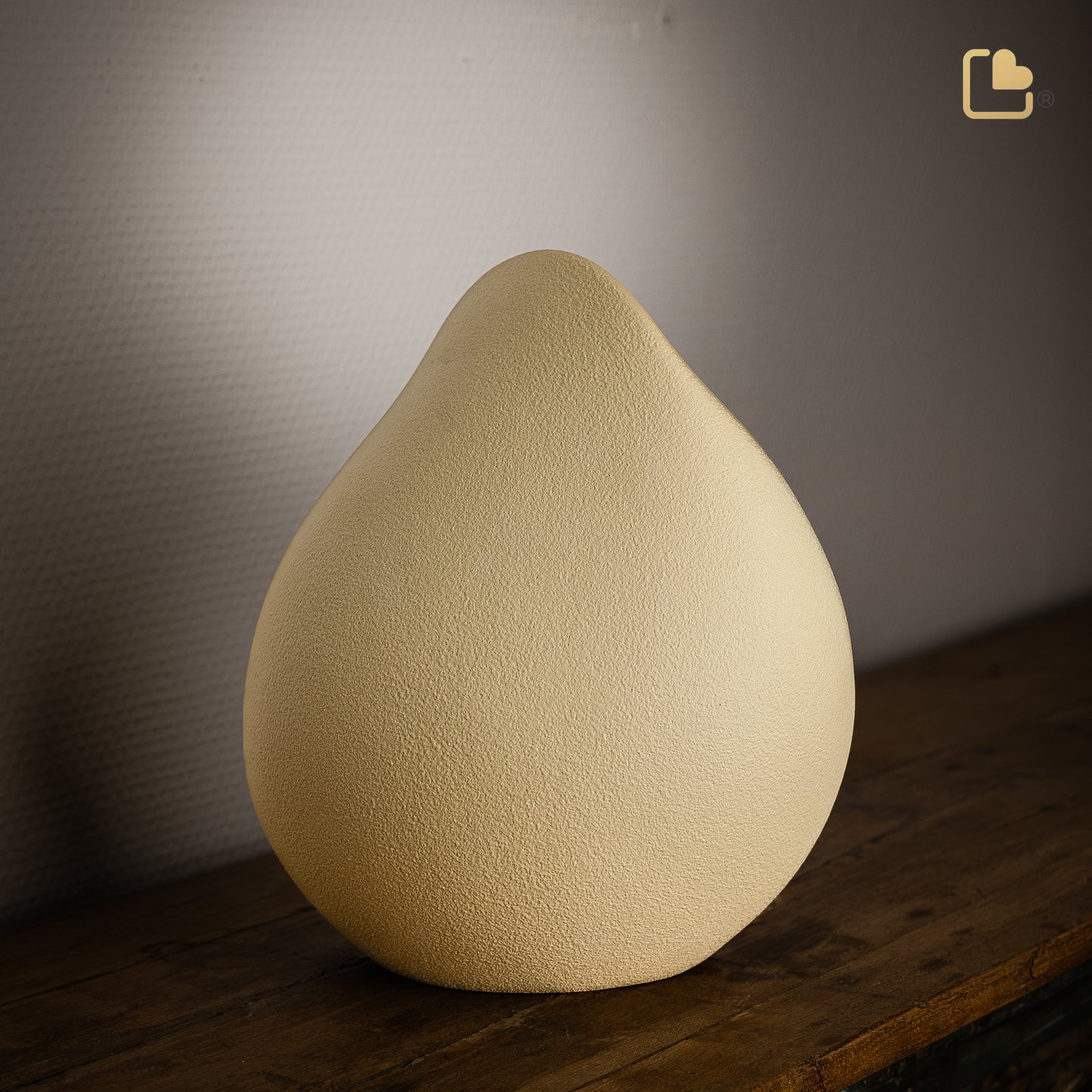 Soulful Shell Yellow (Adult) - CA161*