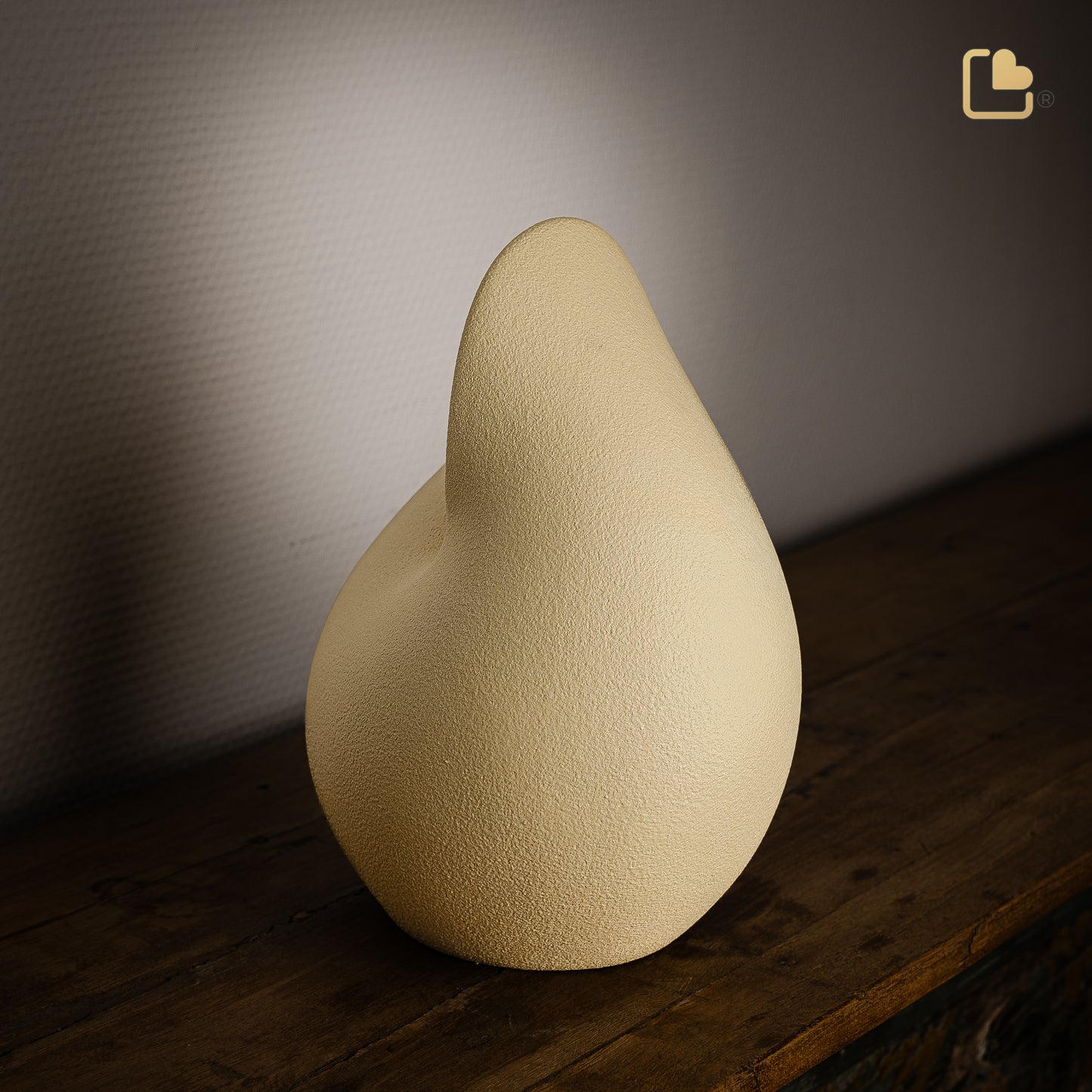 Soulful Shell Yellow (Adult) - CA161*