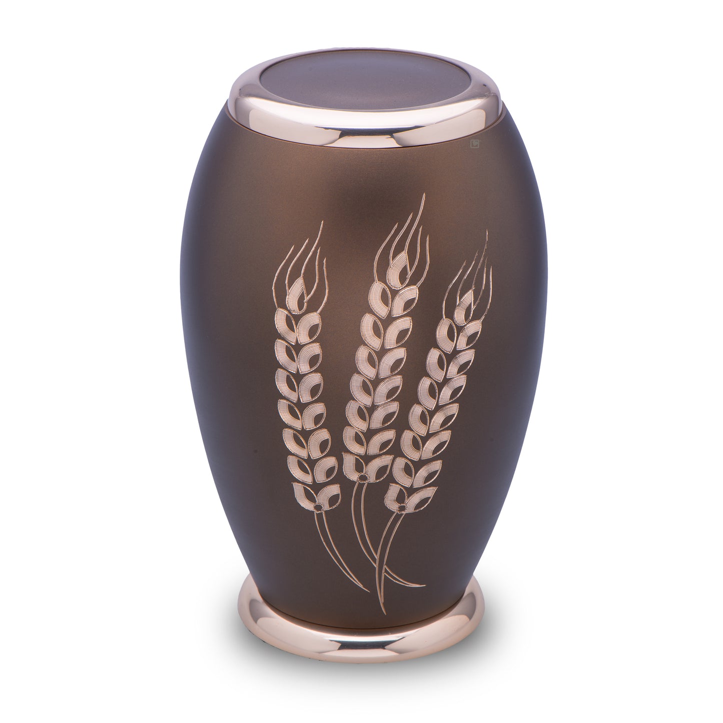 Prairie Wheat (Adult) - A131