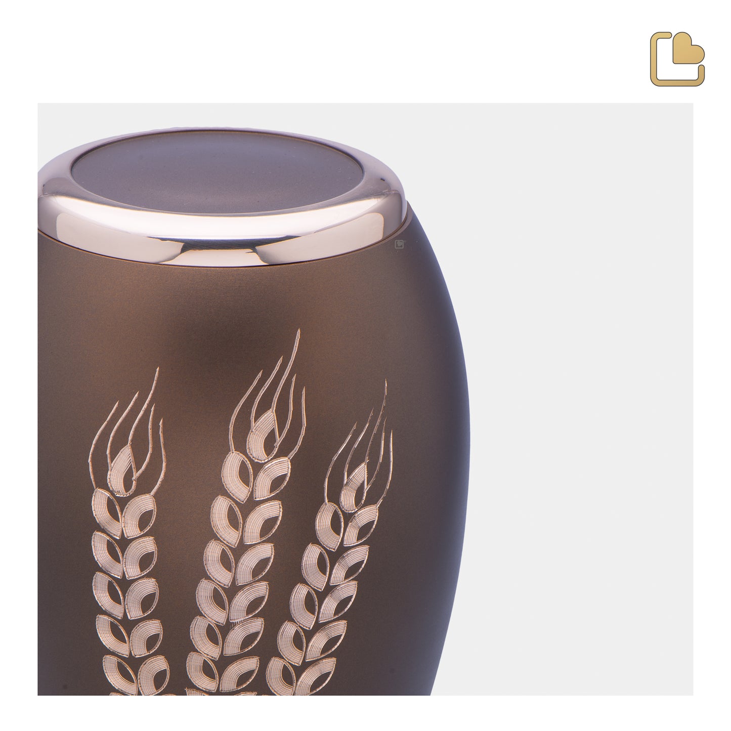 Prairie Wheat (Adult) - A131