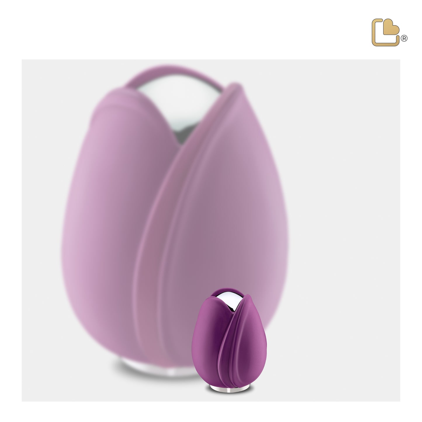 Tulip Purple (Keepsake) - K1054*