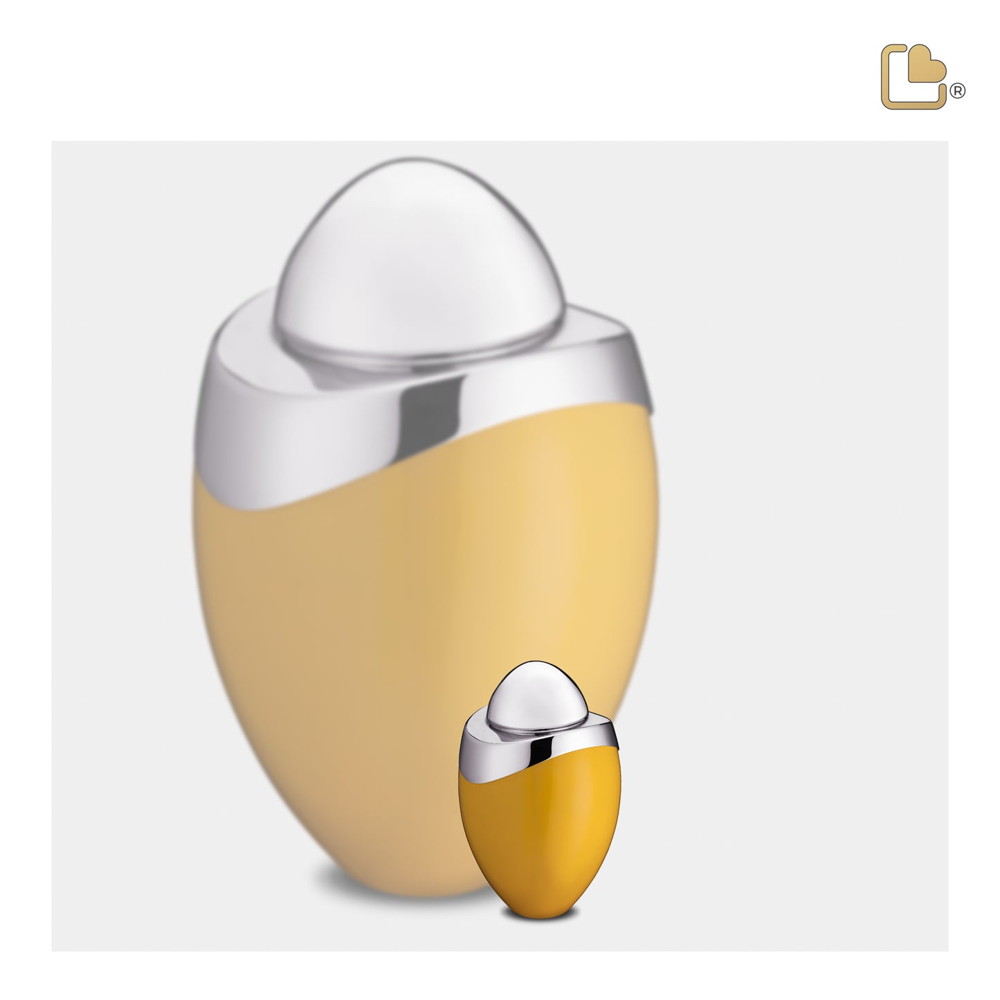 Amore™ Yellow & Polished Silver (Keepsake) - K360*