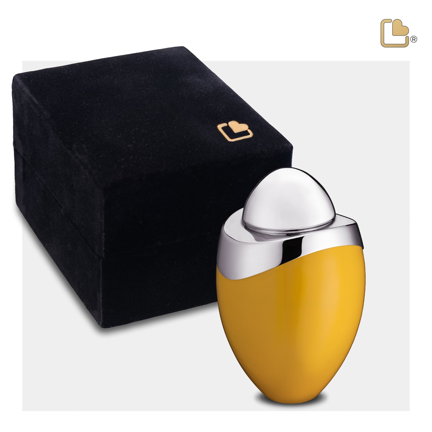 Amore™ Yellow & Polished Silver (Keepsake) - K360*