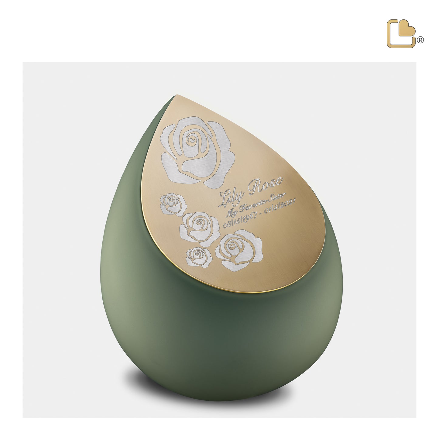 Drop™ Sage Green & Brushed Gold (Medium) - M585*