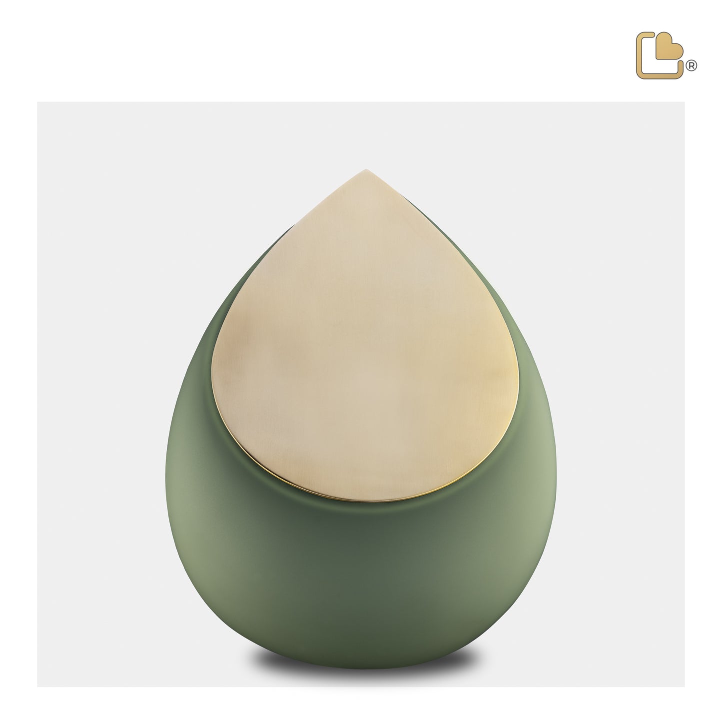 Drop™ Sage Green & Brushed Gold (Medium) - M585*