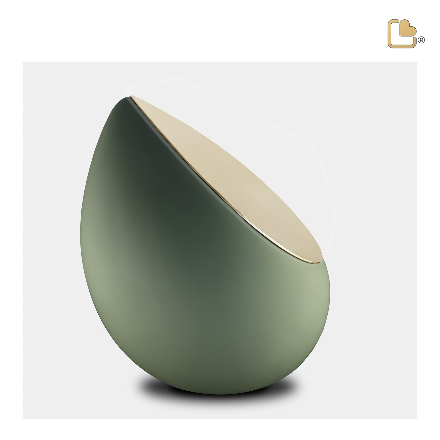 Drop™ Sage Green & Brushed Gold (Medium) - M585*
