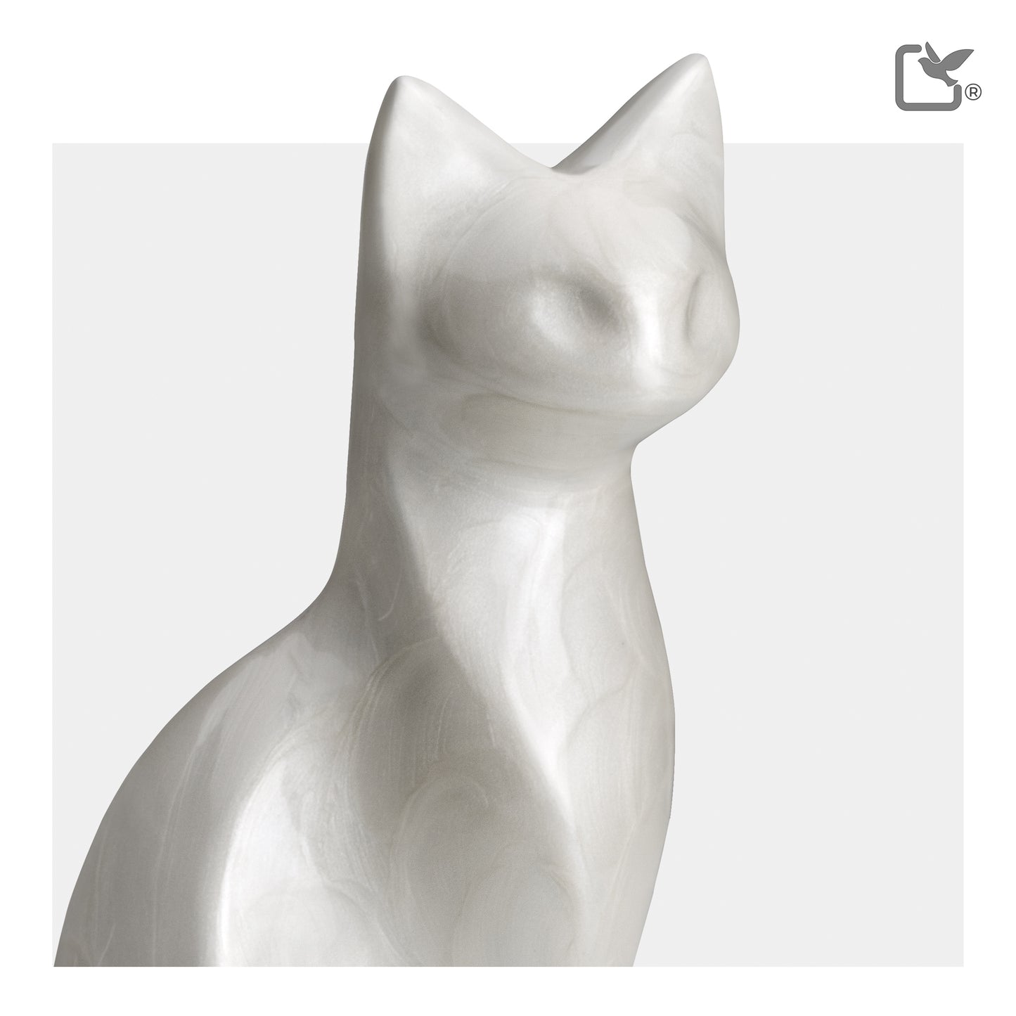 Cat (White) - P260