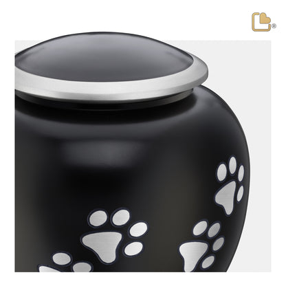 Shadow Pawprint Black & Brushed Pewter (Medium) - P551M*