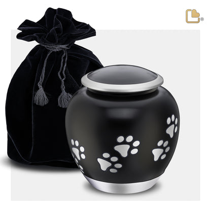 Shadow Pawprint Black & Brushed Pewter (Medium) - P551M*