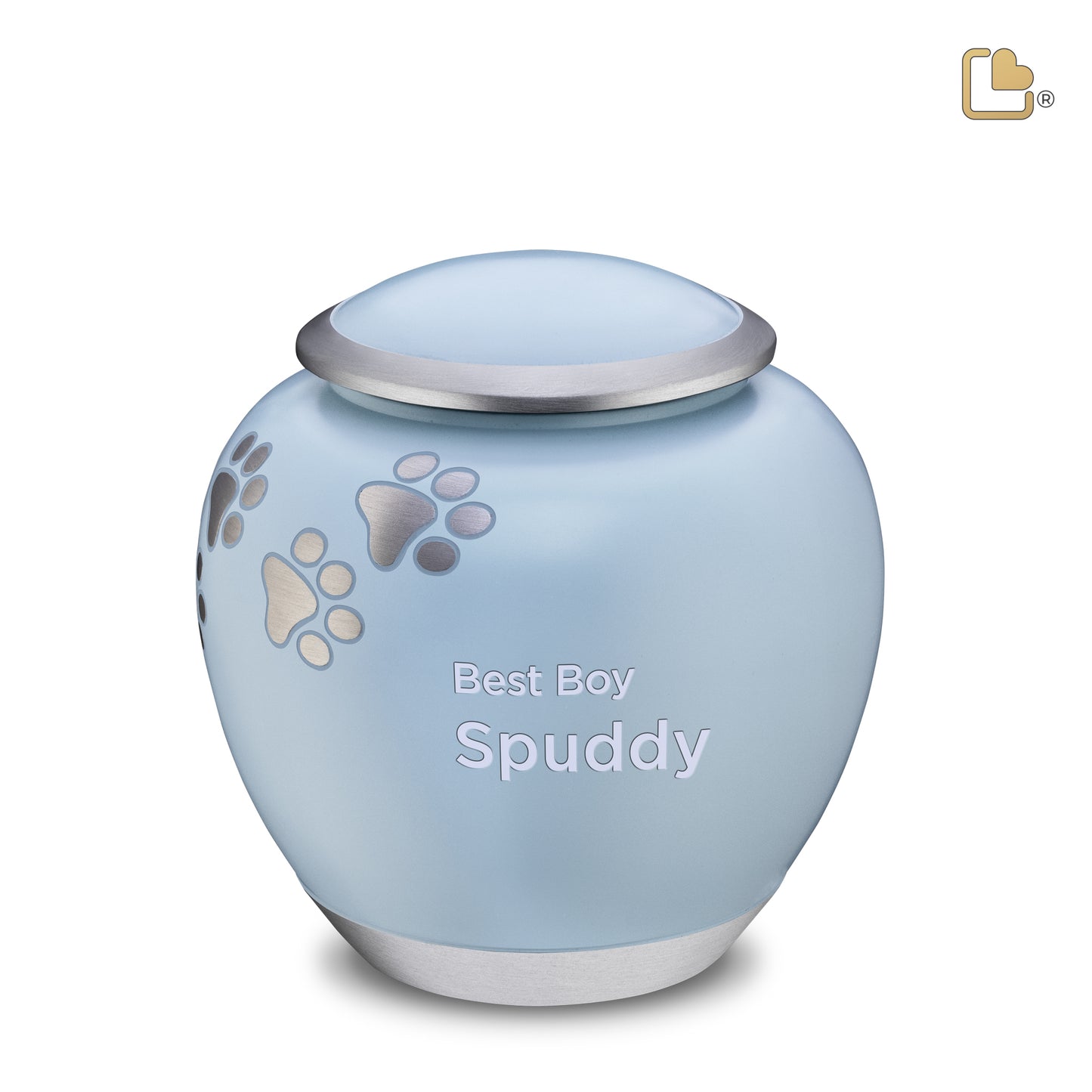 Shadow Blue & Brushed Pewter (Large) - P553L*