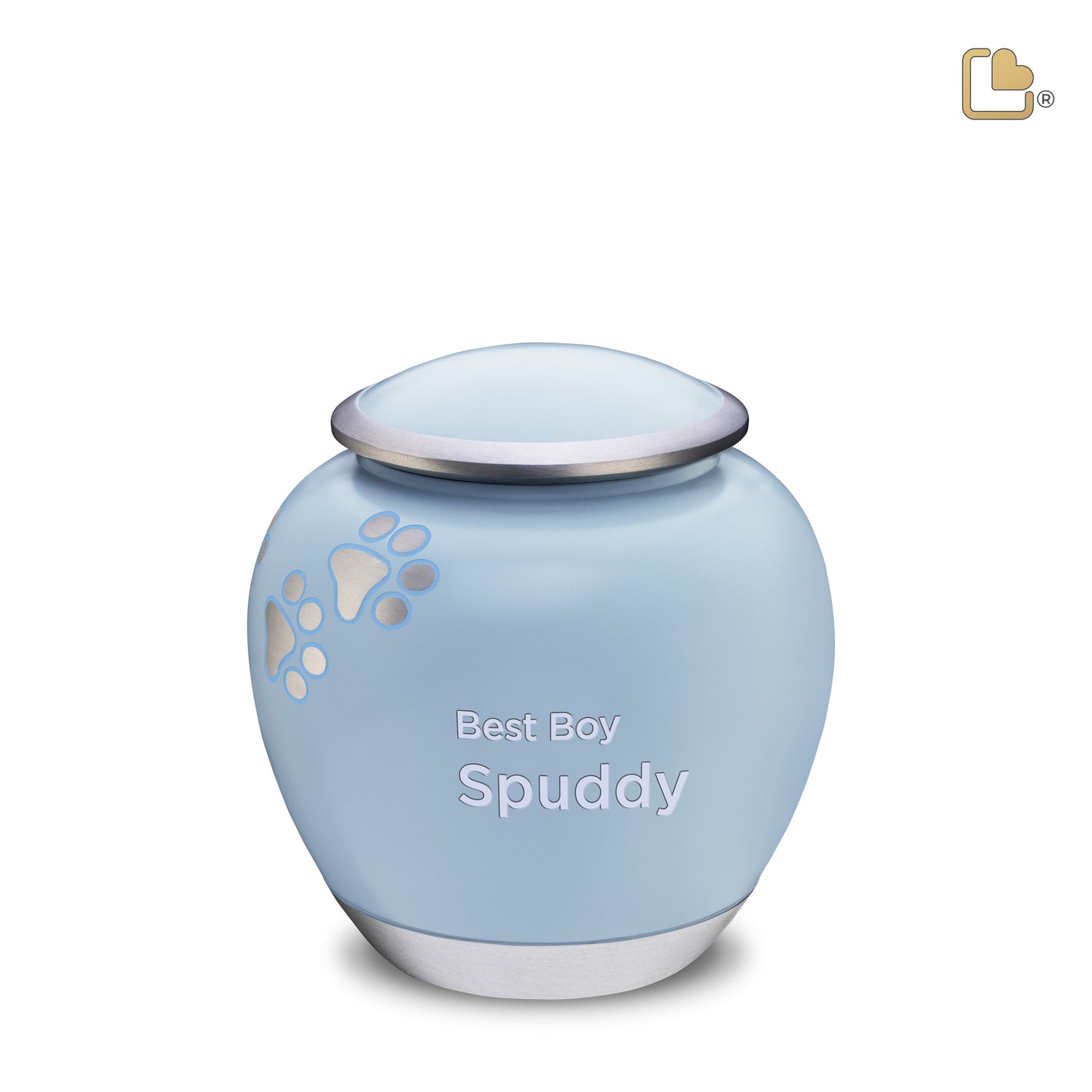 Shadow Blue & Brushed Pewter (Medium) - P553M*