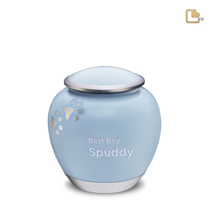 Shadow Blue & Brushed Pewter (Medium) - P553M*