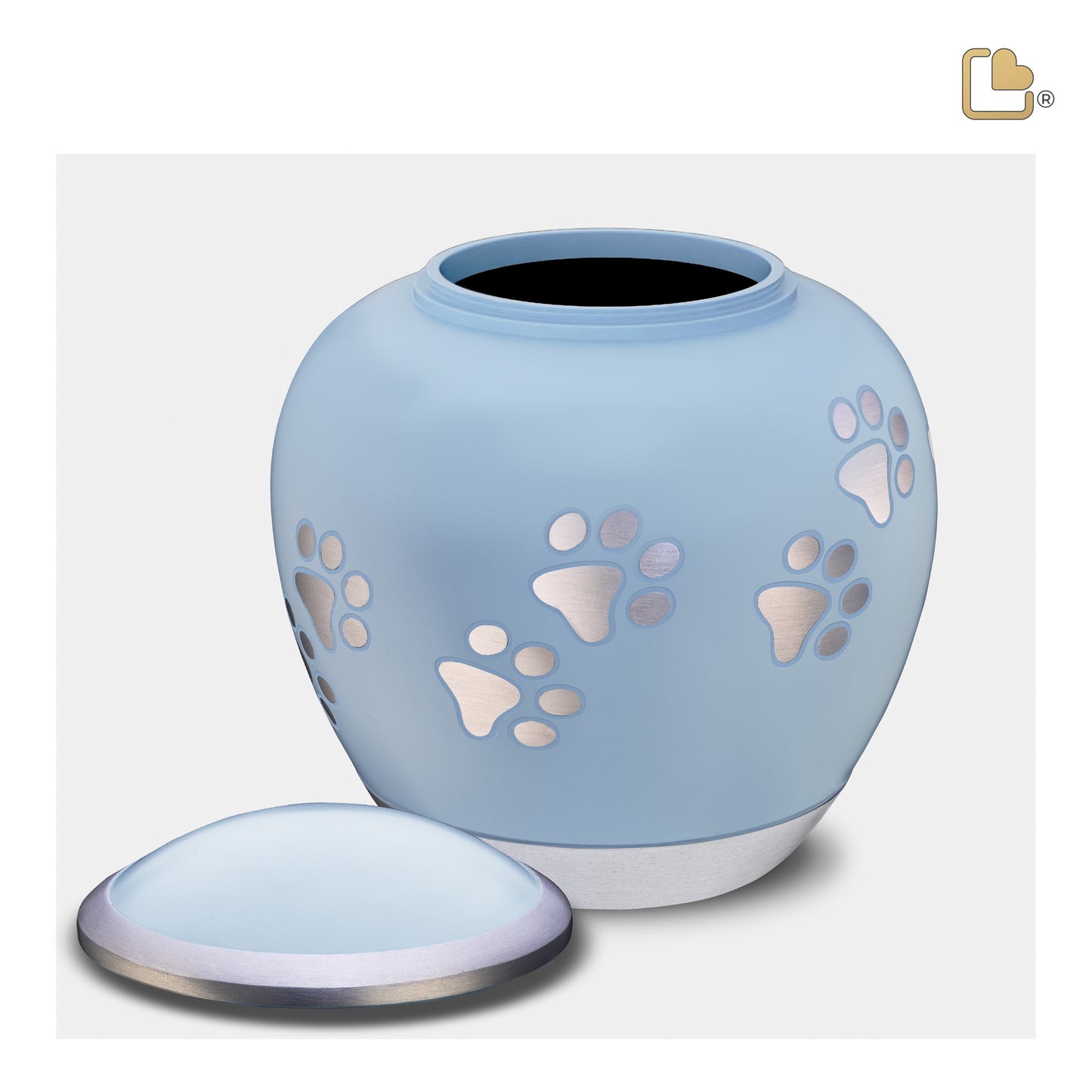 Shadow Blue & Brushed Pewter (Medium) - P553M*