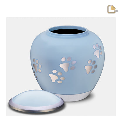 Shadow Blue & Brushed Pewter (Medium) - P553M*