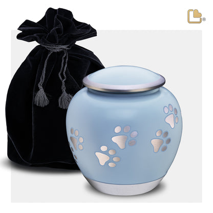 Shadow Blue & Brushed Pewter (Medium) - P553M*