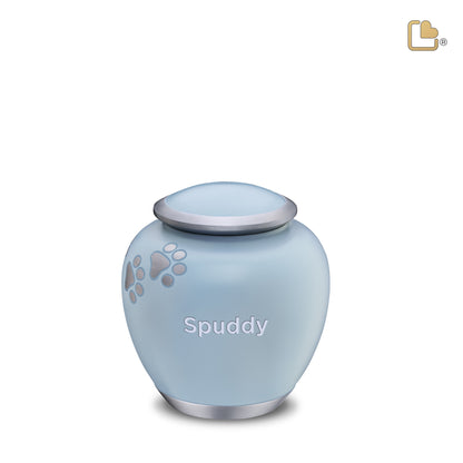 Shadow Blue & Brushed Pewter (Small) - P553S*