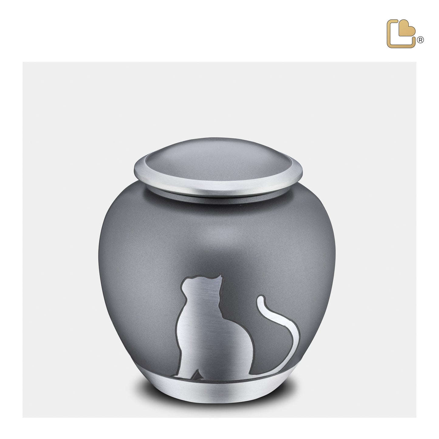 Shadow Cat French Grey & Brushed Pewter (Medium) - P554M*