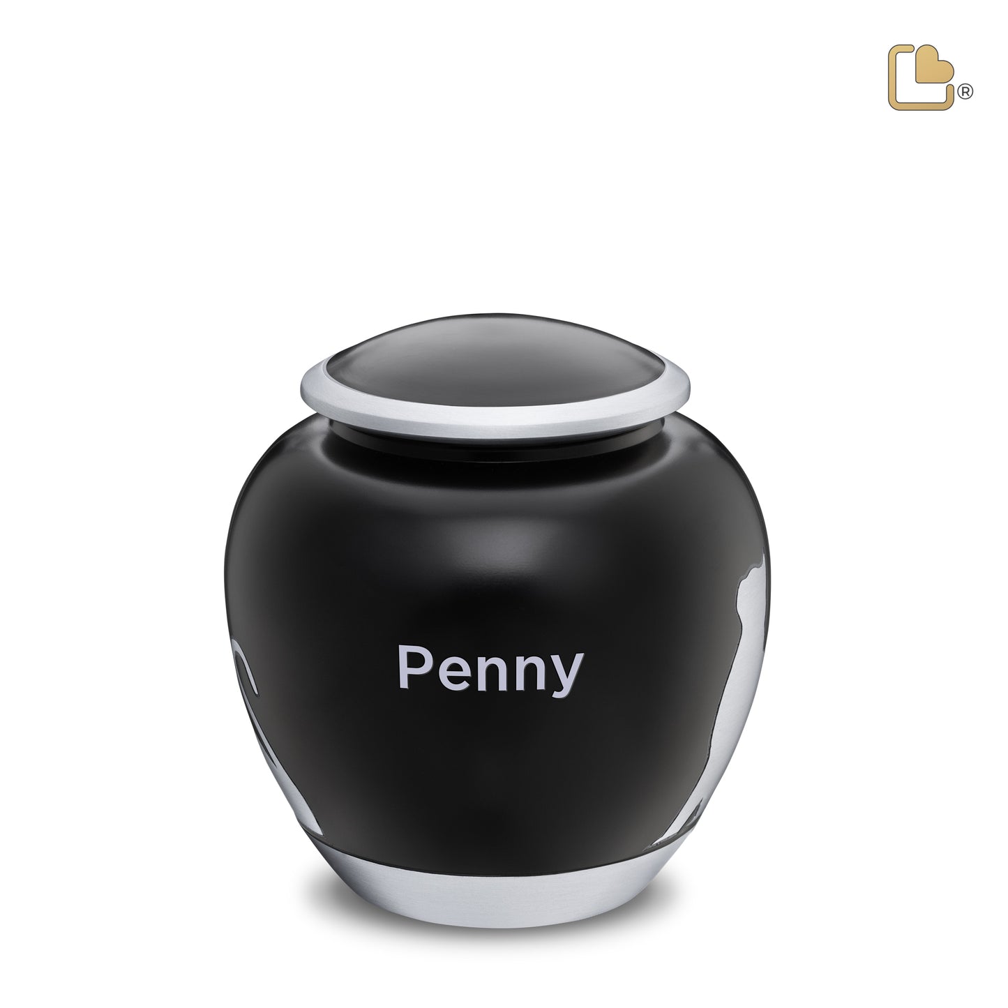 Shadow Cat Black & Brushed Pewter (Medium) - P555M*