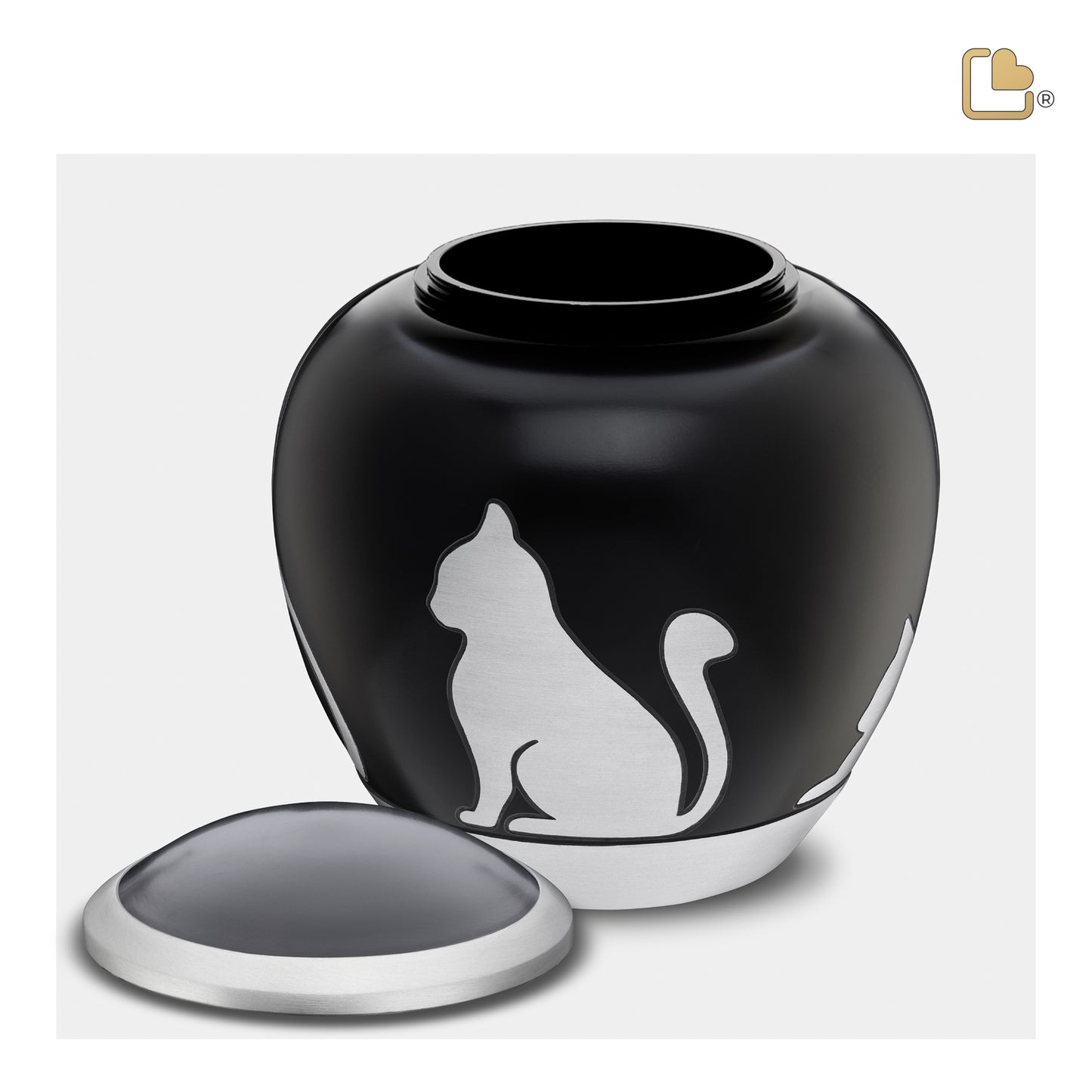 Shadow Cat Black & Brushed Pewter (Medium) - P555M*