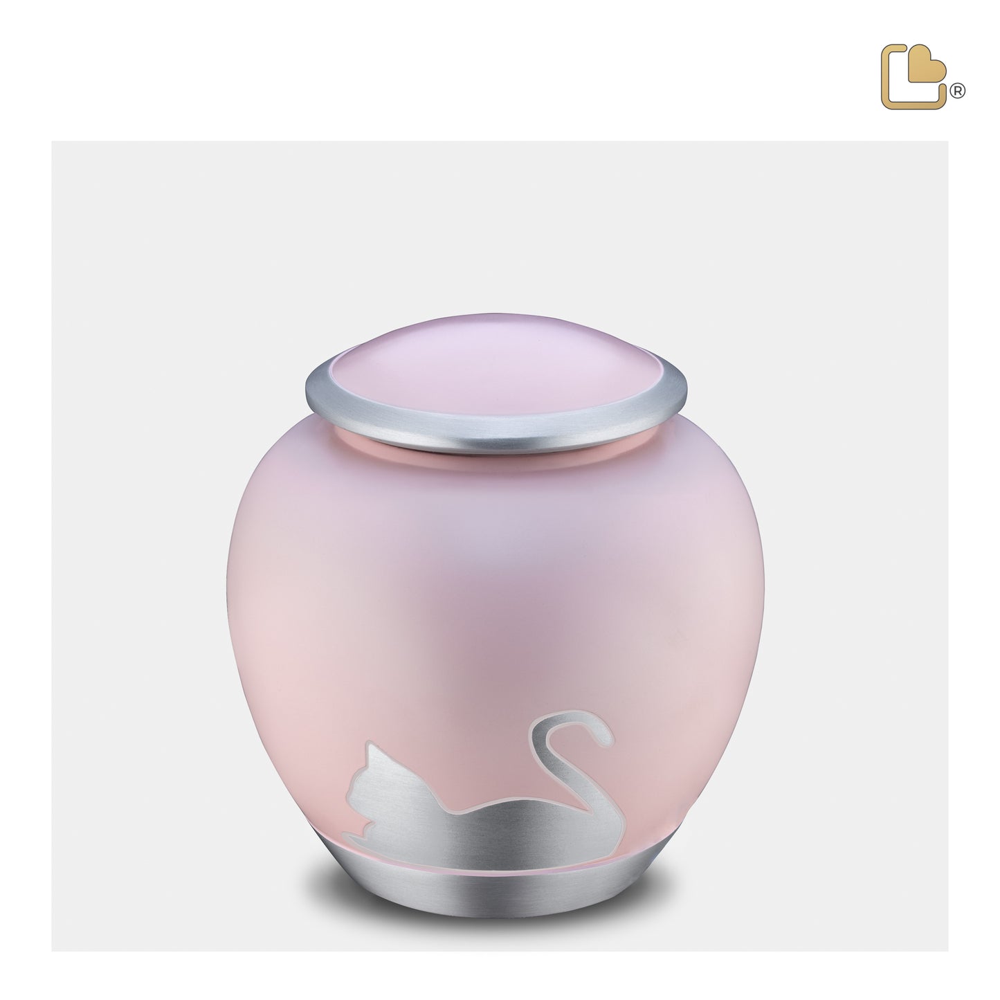 Shadow Cat Pink & Brushed Pewter (Medium) - P556M*