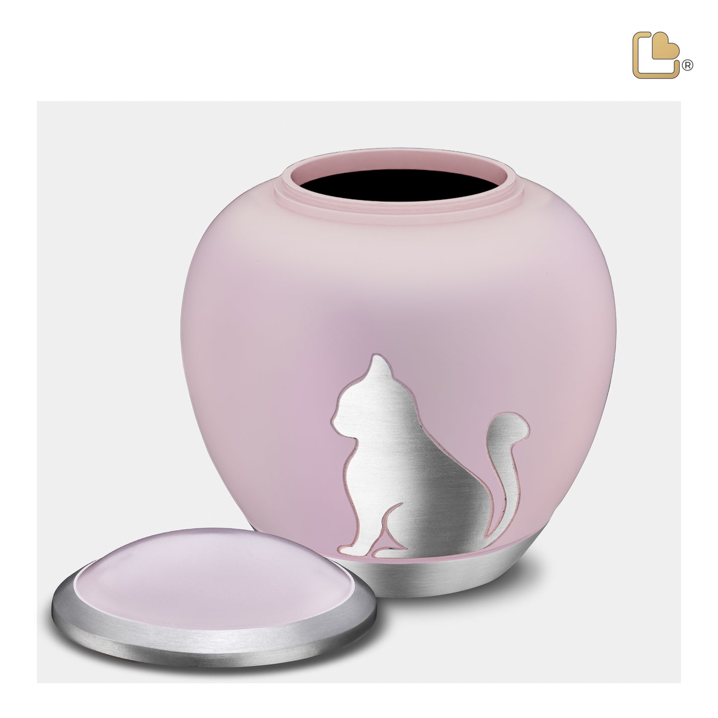 Shadow Cat Pink & Brushed Pewter (Medium) - P556M*