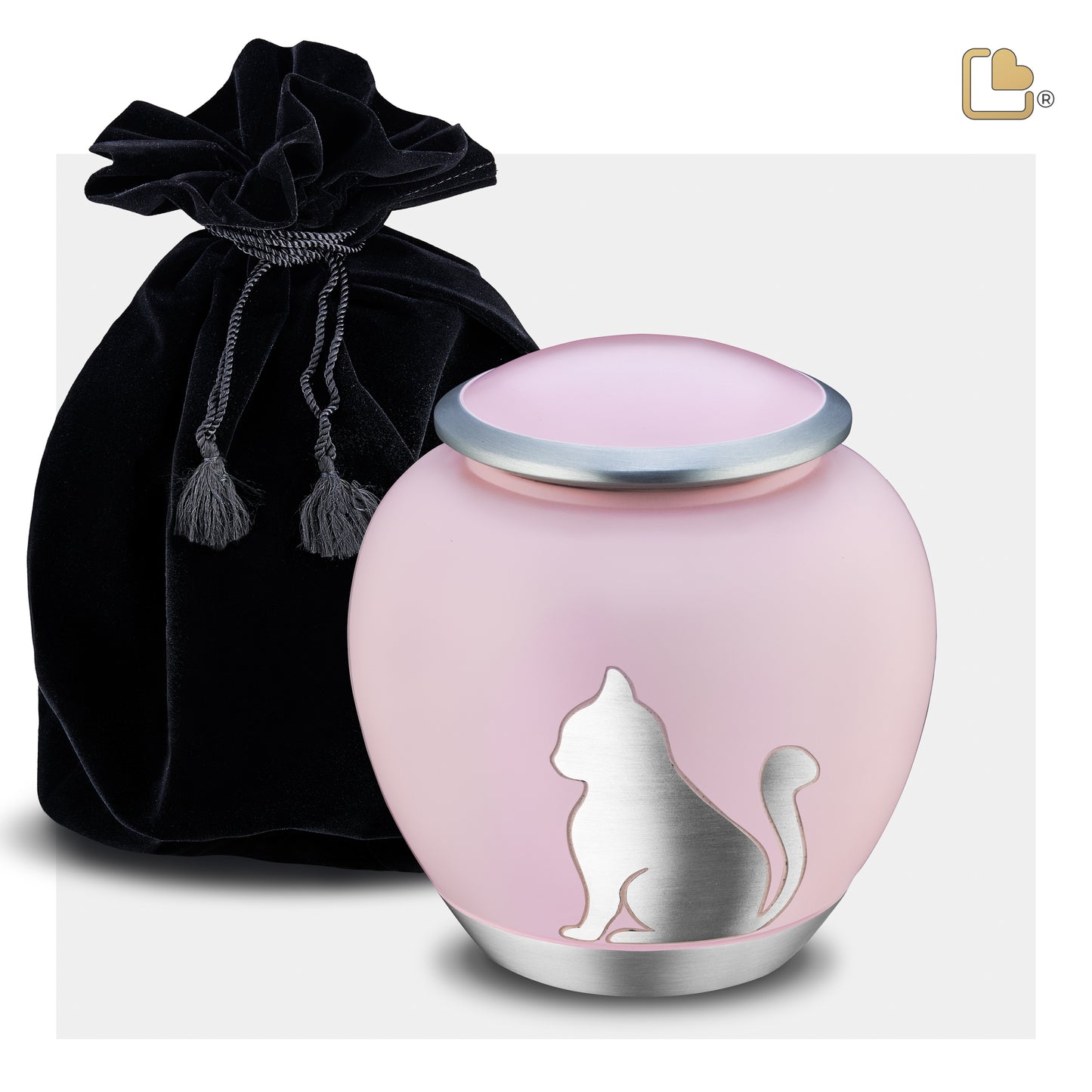 Shadow Cat Pink & Brushed Pewter (Medium) - P556M*