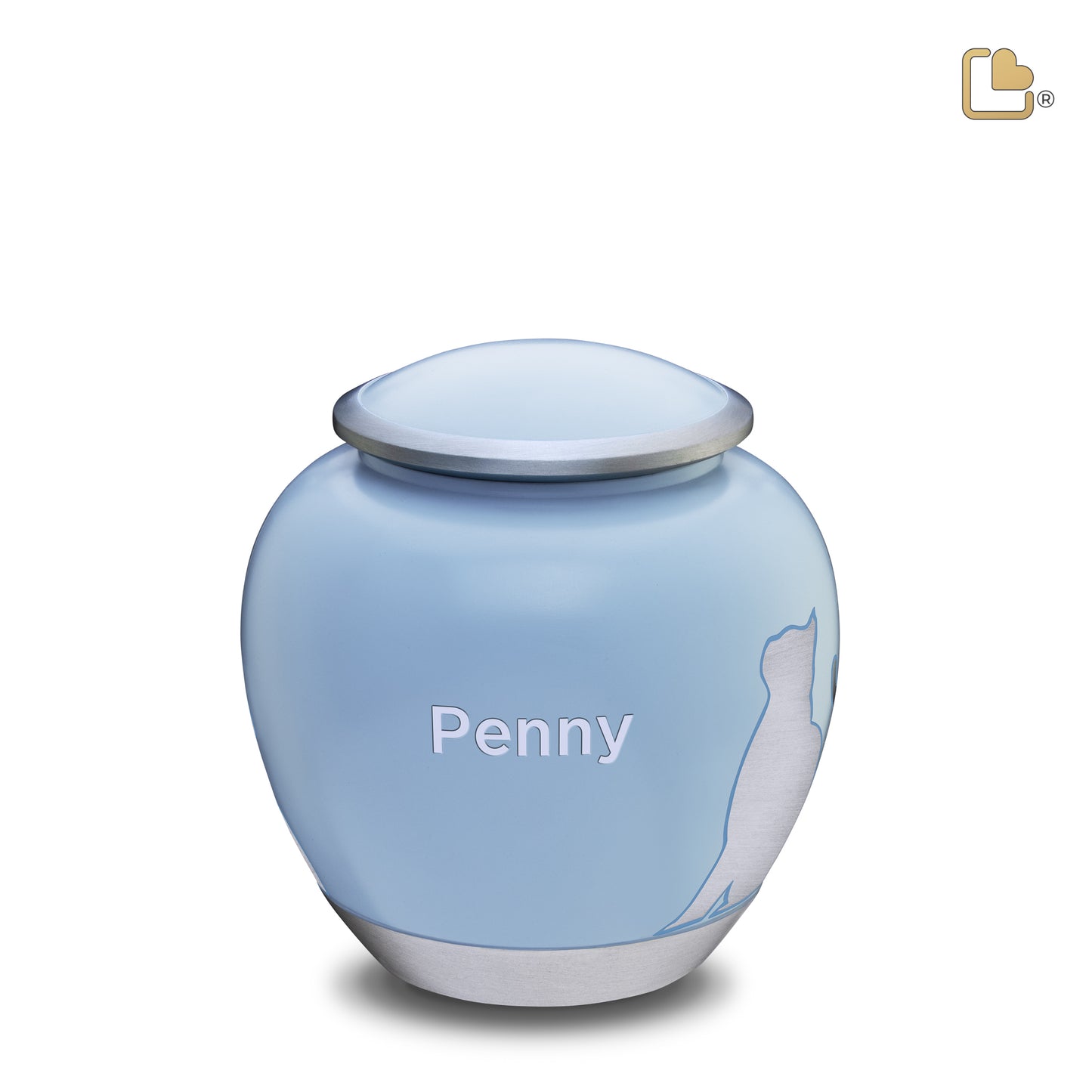 Shadow Cat Blue & Brushed Pewter (Medium) - P557M*