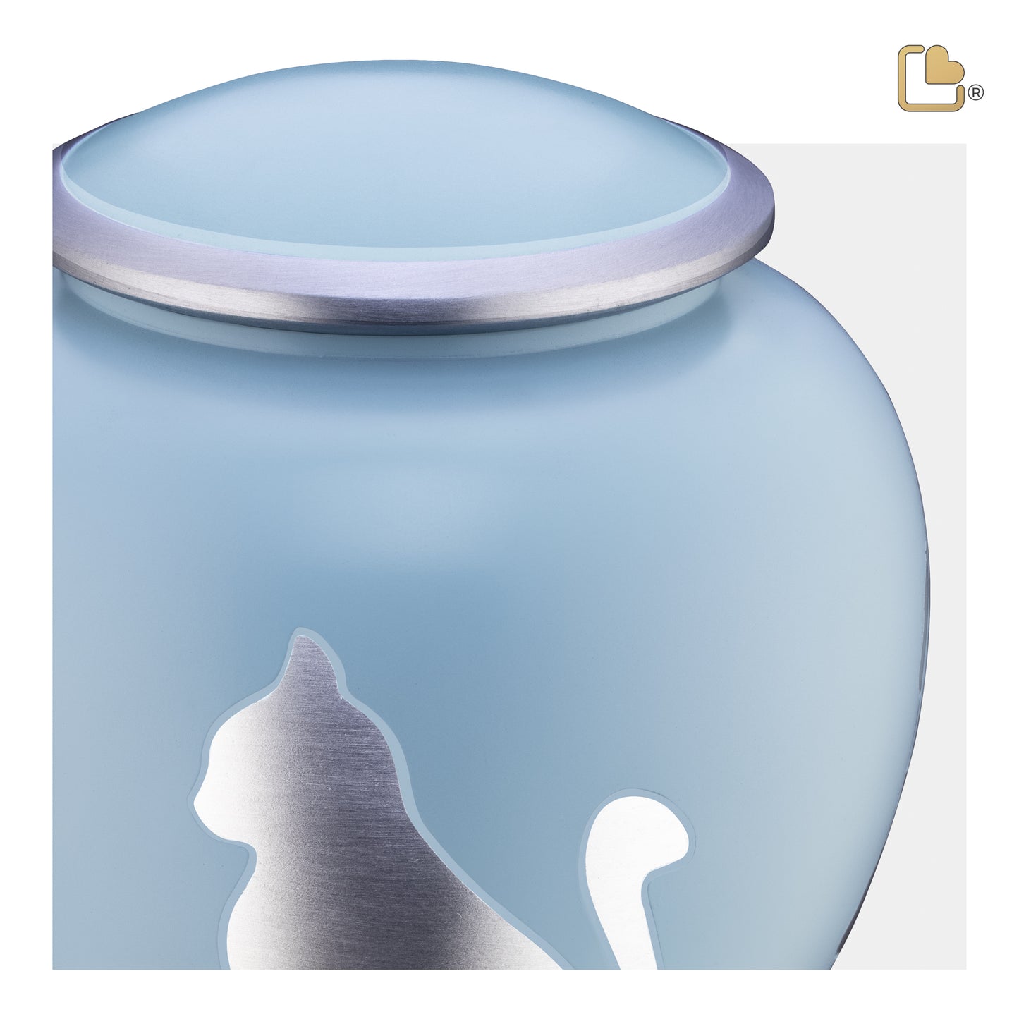 Shadow Cat Blue & Brushed Pewter (Medium) - P557M*